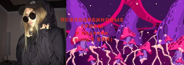 герыч Алексин