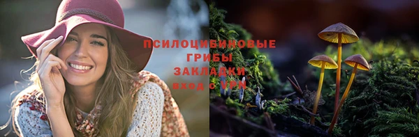 герыч Алексин