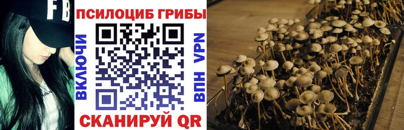 где купить наркоту  Кирс  гидра сайт  Псилоцибиновые грибы мухоморы 