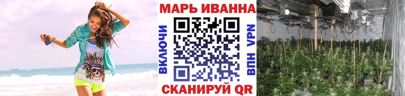 МАРИХУАНА THC 21%  хочу   Кирс 